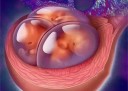什么时候同房容易太原代怀孕